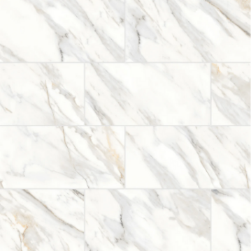 Picture of Bedrosians - Shandar 12 x 24 Arezzo Bianco Polished