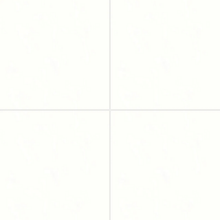 Picture of Bedrosians - Shandar 24 x 24 Plain White Matte