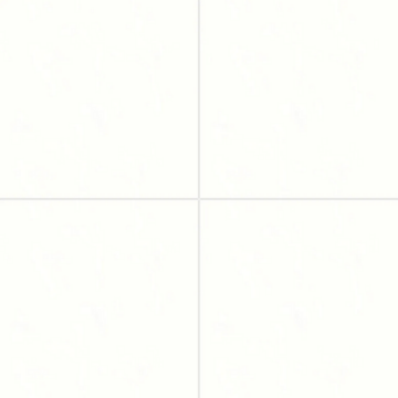 Picture of Bedrosians - Shandar 24 x 24 Plain White Polished