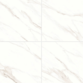 Picture of Bedrosians - Shandar 24 x 24 Statuario Polished