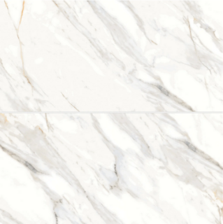 Picture of Bedrosians - Shandar 24 x 48 Arezzo Bianco Matte