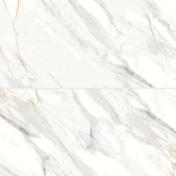 Picture of Bedrosians - Shandar 24 x 48 Arezzo Bianco Matte