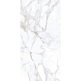 Picture of Tesoro - Lucca 24 x 48 Calacatta Matte