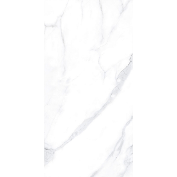 Picture of Tesoro - Lucca 24 x 48 Statuario Polished