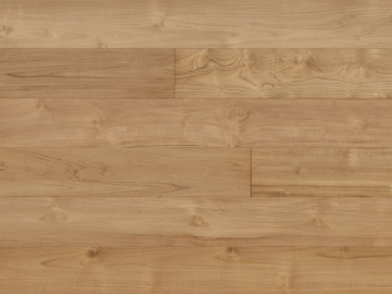 Picture of Monarch Plank - True Teak Light Rustic Bleached