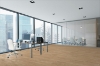 Picture of Next Floor - Signal Hill Tan Oak