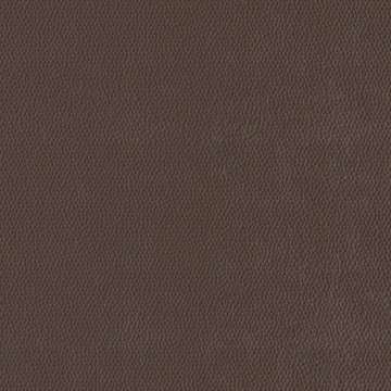 Picture of Burke - Colorscape Sculptured 18 x 18 Pecan