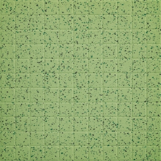 Picture of Burke - Colorspec Square 18 x 18 English Pea