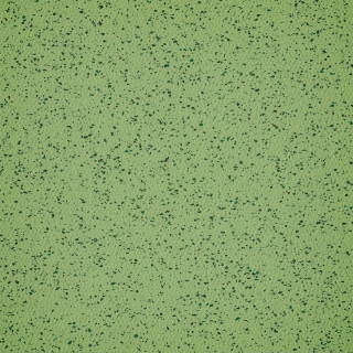 Picture of Burke - Colorspec Sculptured 36 x 36 English Pea