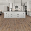 Picture of Next Floor - Regatta Barkwood
