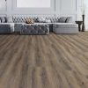 Picture of Next Floor - Mayfair Gunstock Oak