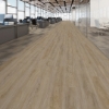 Picture of Next Floor - Level Best Get Even