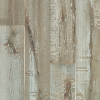 Picture of Shaw Floors - Impressions Maple Celestial