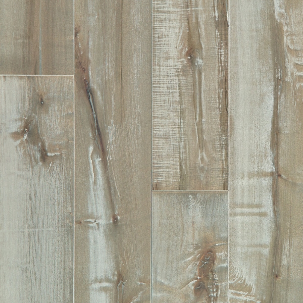 Picture of Shaw Floors - Impressions Maple Celestial