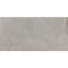 Picture of Emser Tile - Borigni 12 x 23 Gray
