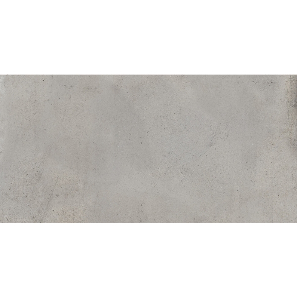 Picture of Emser Tile - Borigni 12 x 23 Gray