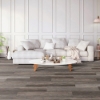 Picture of Chesapeake Flooring - ProSolutions SPC 20 Plank Timber Grove