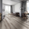 Picture of Chesapeake Flooring - Hemisphere Equator