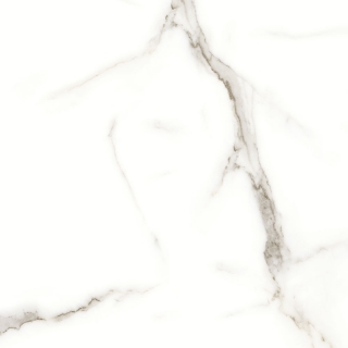 Picture of Tesoro - Mayfair 24 x 24 Matte Calacatta Oro