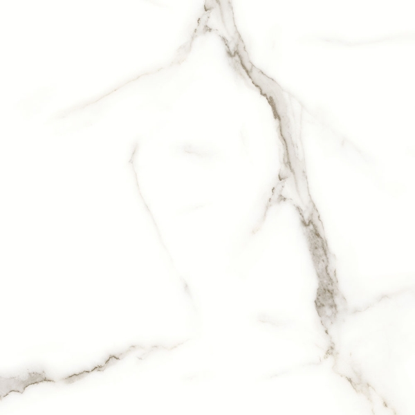 Picture of Tesoro - Mayfair 24 x 24 Matte Calacatta Oro