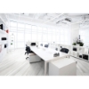 Picture of Tesoro - Mayfair 24 x 48 Polished Suave Bianco