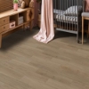 Picture of Chesapeake Flooring - Ameriscape 20 Pro Plank Province