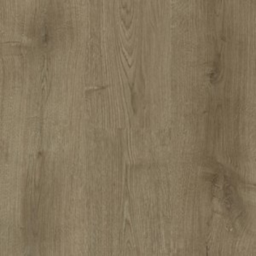 Picture of Next Floor - Botanica Chateau Tan