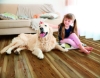 Picture of Chesapeake Flooring - Farmstead 7 x 48 Ashley Pine