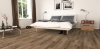 Picture of Chesapeake Flooring - Compass Point 4.25 Champagne