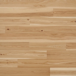 Picture of Chesapeake Flooring - Terra Nova Haven