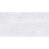 Picture of Tesoro - Origin 12 x 24 Silver