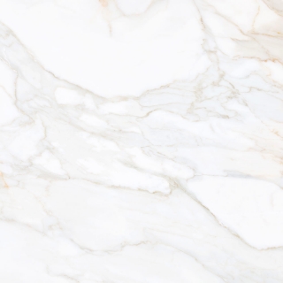 Picture of Tesoro - Paonazzo 36 x 36 Calacatta Gold Matte