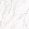 Picture of Tesoro - Paonazzo 24 x 24 Calacatta Gold Matte
