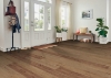 Picture of Robbins - Nature's Canvas Gold Wilderness Retreat Hickory