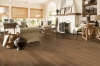 Picture of Robbins - Nature's Canvas Platinum Sunny Shade