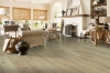 Picture of Robbins - Nature's Canvas Platinum Landscape Trend