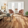 Picture of Robbins - Nature's Canvas Silver Hickory Natural