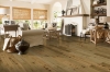 Picture of Robbins - Nature's Canvas Silver Oak Honeyed Gold