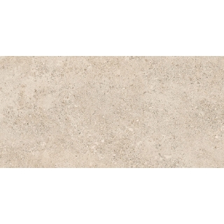 Picture of Tesoro - Shellstone 24 x 48 Amber