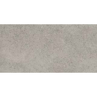 Picture of Tesoro - Shellstone 24 x 48 Grey