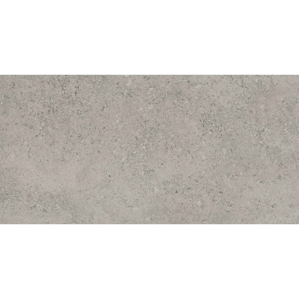 Picture of Tesoro - Shellstone 24 x 48 Grey
