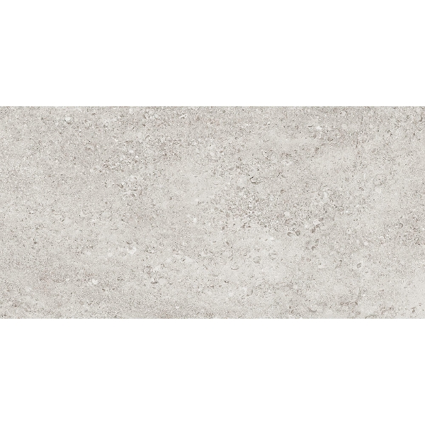 Picture of Tesoro - Shellstone 12 x 24 White