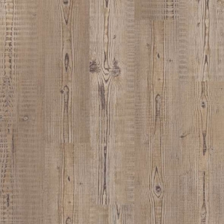 Picture of Shaw Floors - Anvil Plus Accent Pine
