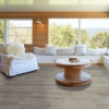 Picture of Shaw Floors - Anvil Plus Beach Oak