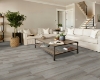 Picture of Shaw Floors - Brio Plus Beach Oak
