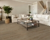 Picture of Shaw Floors - Brio Plus Chatter Oak