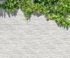 Picture of Tesoro - Vulcani Bianco