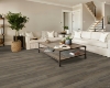 Picture of Shaw Floors - Elan Plank Grey Chestnut