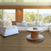Picture of Shaw Floors - Dwell Homespun Brown