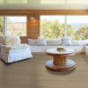 Picture of Shaw Floors - Dwell Light Roast